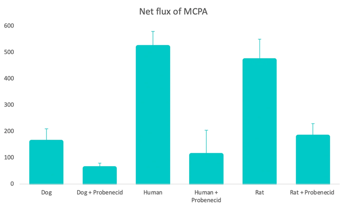 Net flux of MCPA (in ng/cm2/hr) through renal proximal tubule cell monolayers from rat, dog, or human donors.  MCPA (50μg/ml) incubated for 90 min in the presence or absence of OAT1 inhibitor probenecid (200μM)