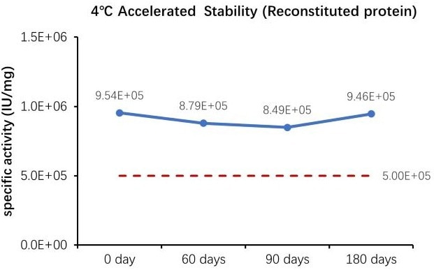 GMP compliant SCF protein