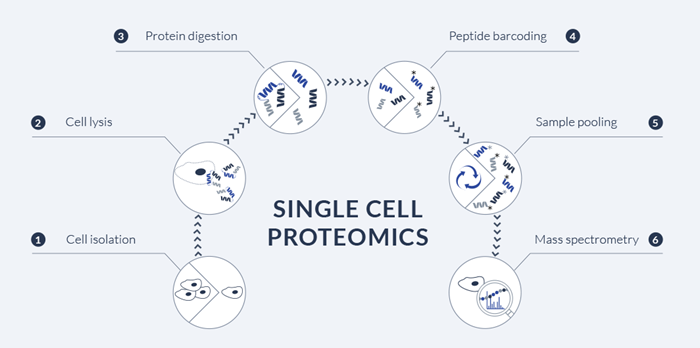 proteoCHIP product line - High-throughput proteomics sample preparation