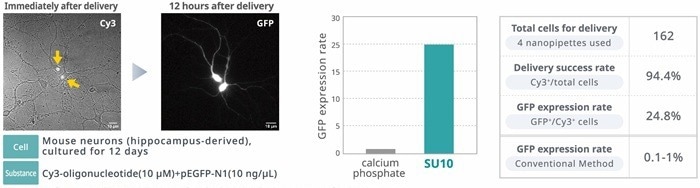Single Cellome™ Unit SU10: Single-cell targeting with direct delivery