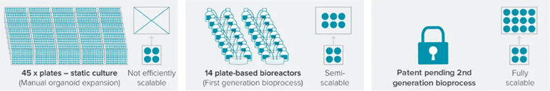 3D Organoid Expansion Service