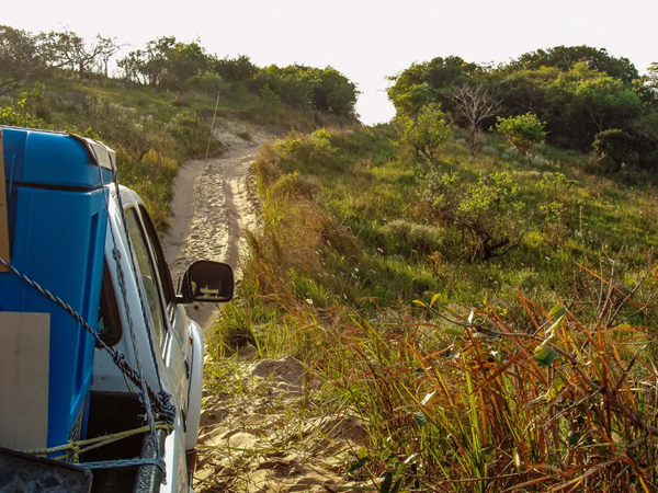 TCW80AC vaccine refrigerator with 83.4 L capacity and +4 °C set temperature