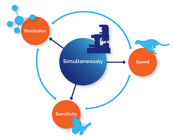 What makes the WITec360 Raman microscope the benchmark for correlative microscopy?