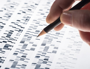 How to choose the right labels for single particle tracking in super-resolution imaging