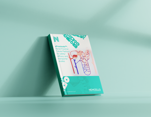 Free guide - Everything about renal proximal tubule cells