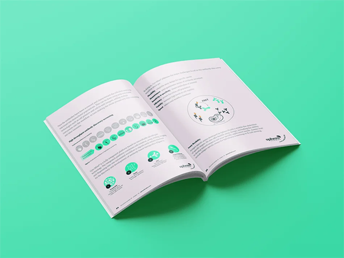 hybridoma-based antibody