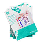 Free guide - Everything about renal proximal tubule cells Industry Focus eBook