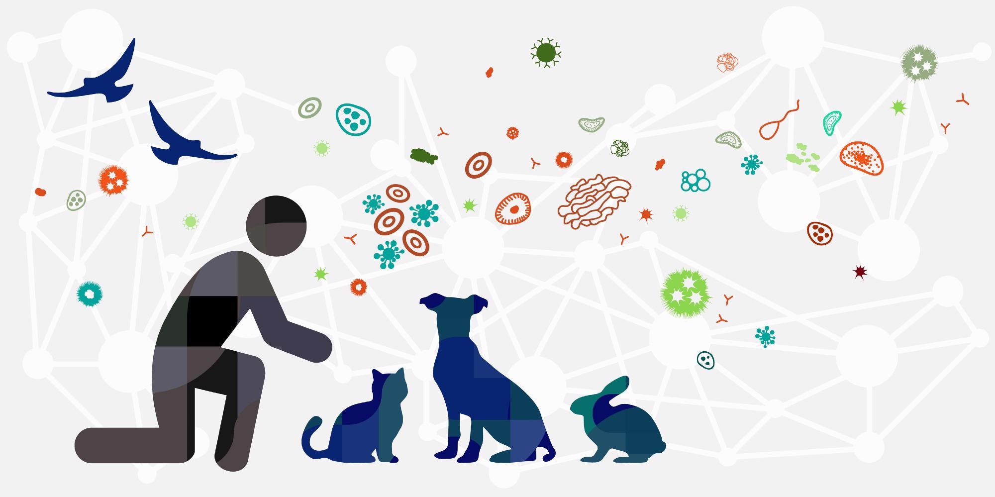 Study: Recent zoonotic spillover and tropism shift of a Canine Coronavirus is associated with relaxed selection and putative loss of function in NTD subdomain of spike protein. Image Credit: magic pictures / Shutterstock