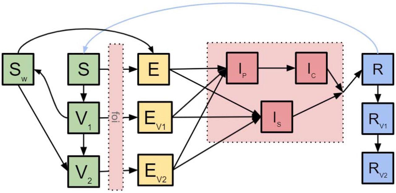 SARS-CoV-2 transmission dynamics and COVID-19 vaccination impact. The conceptual diagram describes the underlying mathematical models of SARS-CoV-2 transmission dynamics and COVID-19 vaccination impact. S - susceptible; V1 - individuals protected by the first dose only; V2 - individuals protected by both doses; Sw - individuals who have received their first dose but the protection has waned; E - exposed; Ev1 - exposed progressed from individuals in V1; Ev2 - exposed progressed from individuals in V2; Ip - pre-clinical infectious individuals; Ic - clinical individuals; Is - subclinical individuals; R - recovered; Rv1 - previously infected individuals whose infection-induced immunity has yet to wane and who have received the first dose; Rv2 individuals whose infection-induced immunity has yet to wane and who have received both doses.