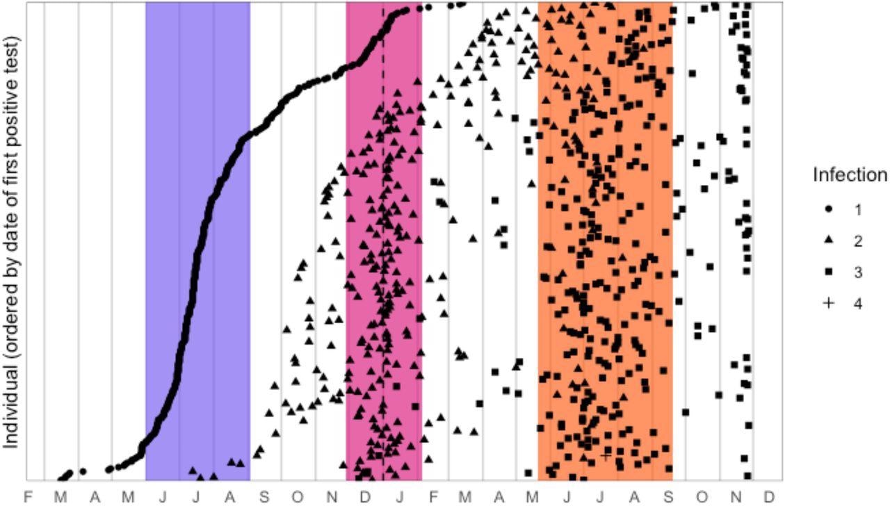 Timing of infections for individuals with multiple suspected reinfections. Circles represent the first positive test of the first detected infection; triangles represent the first positive test of the suspected second infection; squares represent the first positive test of the suspected third infection. Colored bands represent wave periods, defined as the period for which the 7-day moving average of cases was at least 15% of the corresponding wave peak (purple = wave 1, pink = wave 2, orange = wave 3).