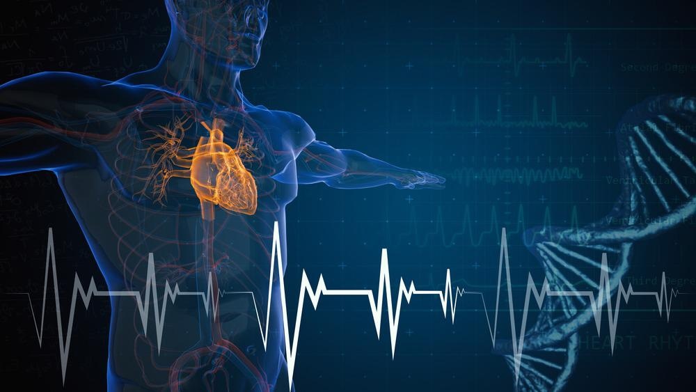 Cardiovascular Health