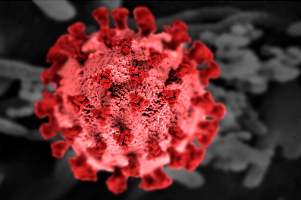 Study: Randomized controlled trial transfusing convalescent plasma as post-exposure prophylaxis against SARS-CoV-2 infection. Image Credit: Red-Diamond/Shutterstock