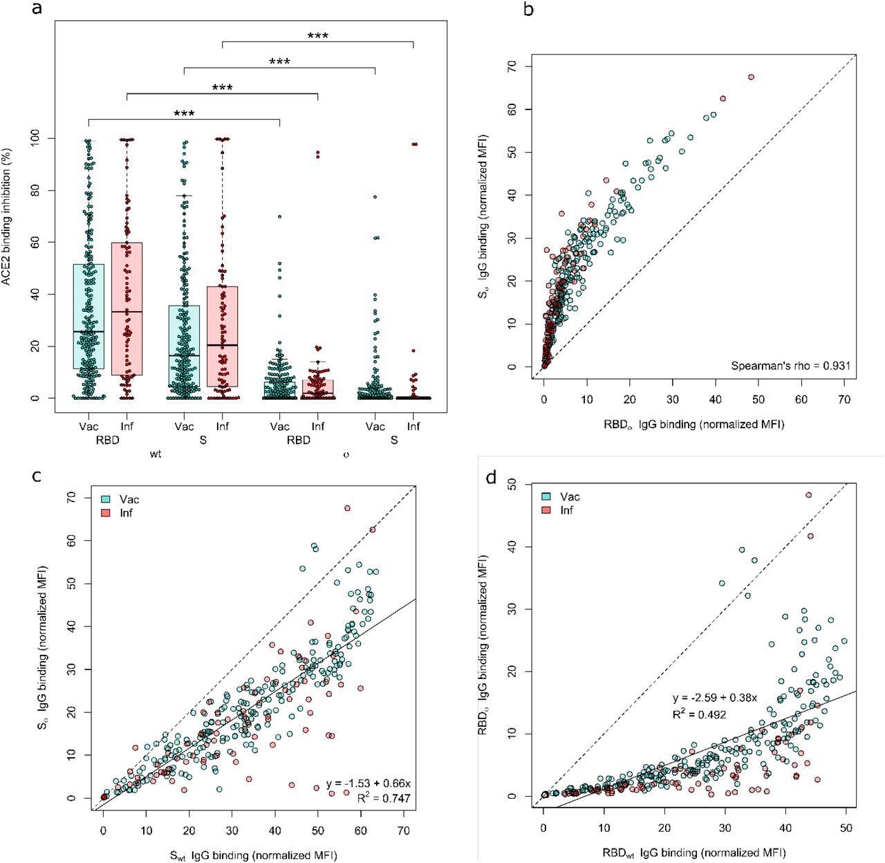 Both the Omicron RBD and Spike protein have minimal neutralizing activity. ACE2 binding inhibition (a) and IgG binding capacity (b-d) were compared for the Omicron RBD and S to the wild-type RBD and S. (a) Boxplot showing that ACE2 binding inhibition while significantly reduced for Omicron in general, is significantly reduced for the RBD compared to the Spike for both Vaccinated (n-=226) and infected (n=86) samples. Boxes represent the median, 25th and 75th percentiles, whiskers show the largest and smallest non-outlier values. Outliers were determined by 1.5 IQR. (b) Correlation analysis of IgG binding capacity for the Omicron spike compared to the Omicron RBD. Spearman’s rank was calculated to assess ordinal association between the variables. (c) Linear regression of IgG binding capacity for the Omicron Spike compared to wild-type Spike. (d) Linear regression of IgG binding capacity for the Omicron RBD compared to wild-type RBD. Statistical significance was calculated by Mann-Whitney U with *** indicating a p-value <0.001.