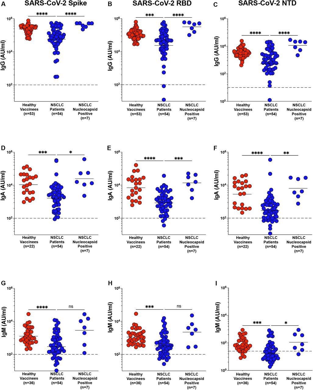 Antibody response to SARS-CoV-2 mRNA vaccine in NSCLC patients. Figure 1 A – I. Spike, RBD and NTD specific IgG (Figure 1A-C), IgA (Figure 1D-F1) and IgM (Figure 1G-I), titers in plasma from healthy vaccinees, NSCLC patients and NSCLC patients with prior exposure to SARS-CoV-2 infection was measured within two months after the second dose of mRNA vaccination. Pre-pandemic plasma samples from healthy individuals were used to set the detection limit for IgG, IgA and IgM titers. Statistical differences were measured using a one-way anova. Graph shows the mean and s.e.m. ns not significant, *p≤0.05, **p≤0.01, ***p≤0.001, ****p≤0.0001.