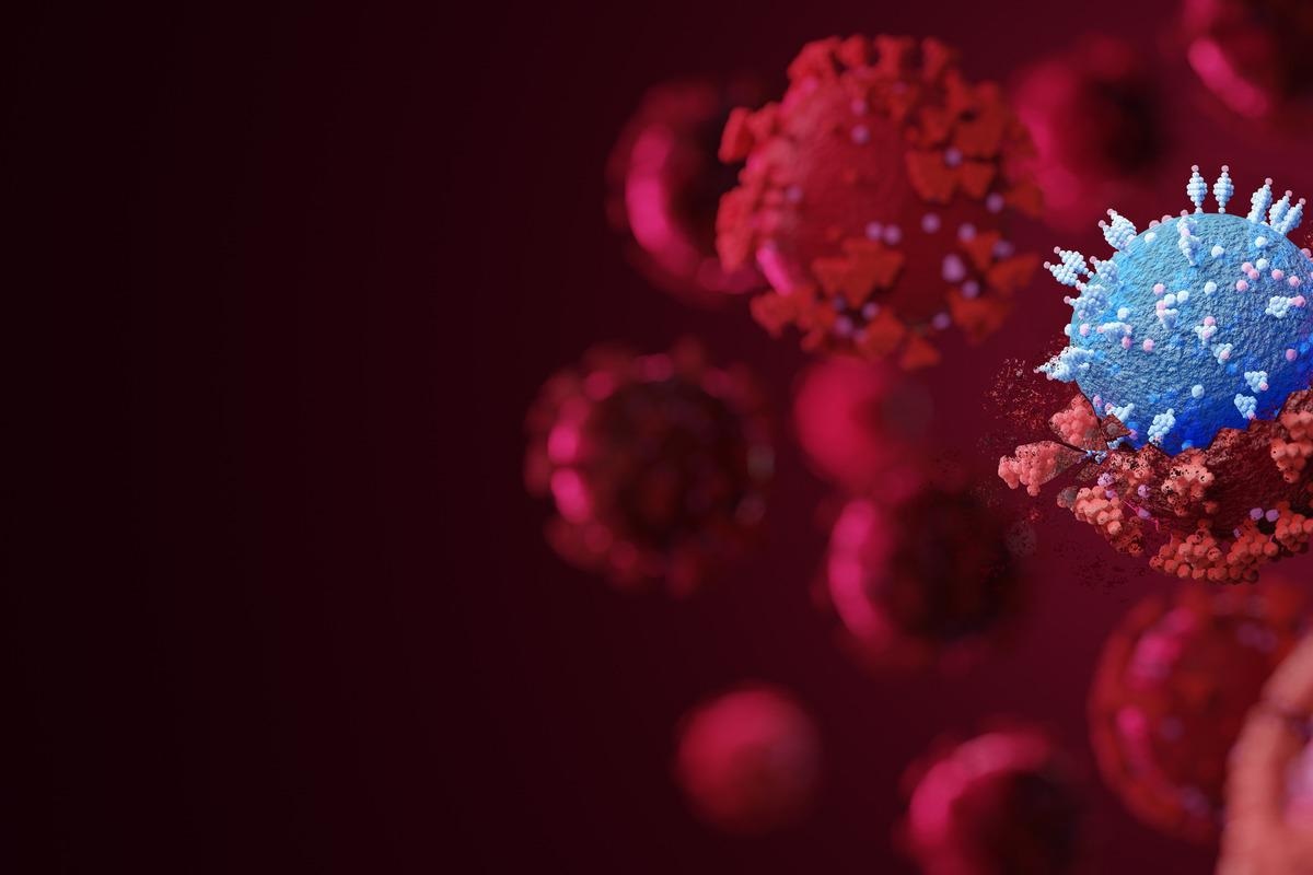 Study: An in vitro and in vivo approach for the isolation of Omicron variant from human clinical specimens. Image Credit: Fit Ztudio/Shutterstock