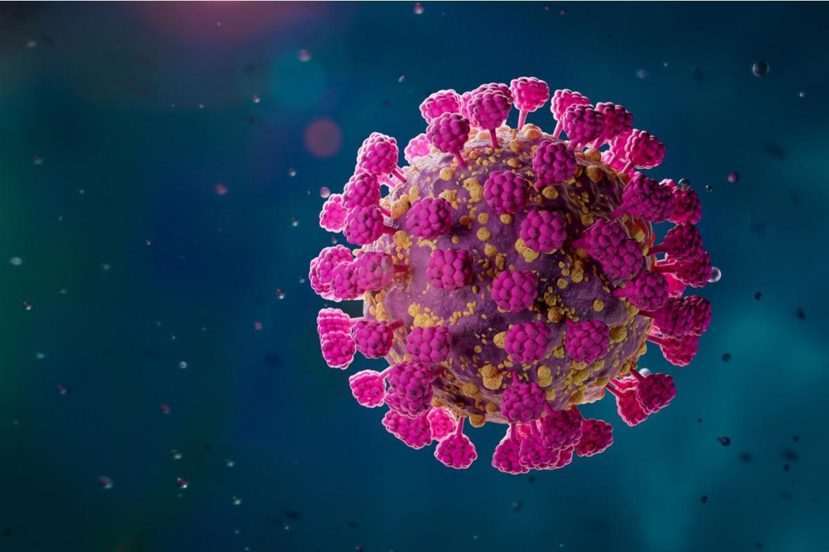 Study: Omicron Variant (B.1.1.529): Infectivity, Vaccine Breakthrough, and Antibody Resistance. Image Credit: Luca9257/Shutterstock