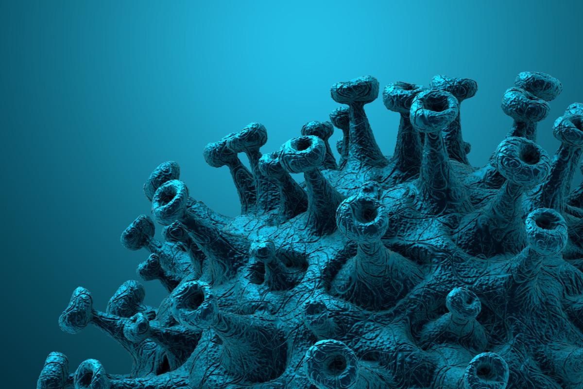 Study: Mild SARS-CoV-2 infection in rhesus macaques is associated with viral control prior to antigen-specific T cell responses in tissues. Image Credit: CROCOTHERY/Shutterstock