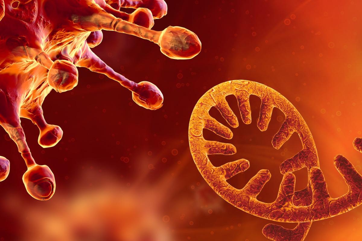 Study: Plasma SARS-CoV-2 RNA levels as a biomarker of lower respiratory tract SARS-CoV-2 infection in critically ill patients with COVID-19. Image Credit: CROCOTHERY/Shutterstock