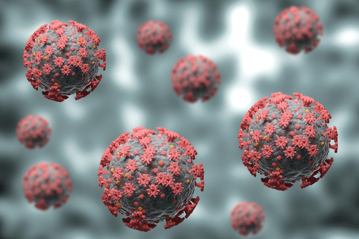 Study: An ensemble prediction model for COVID-19 mortality risk. Image Credit: Adao/Shutterstock