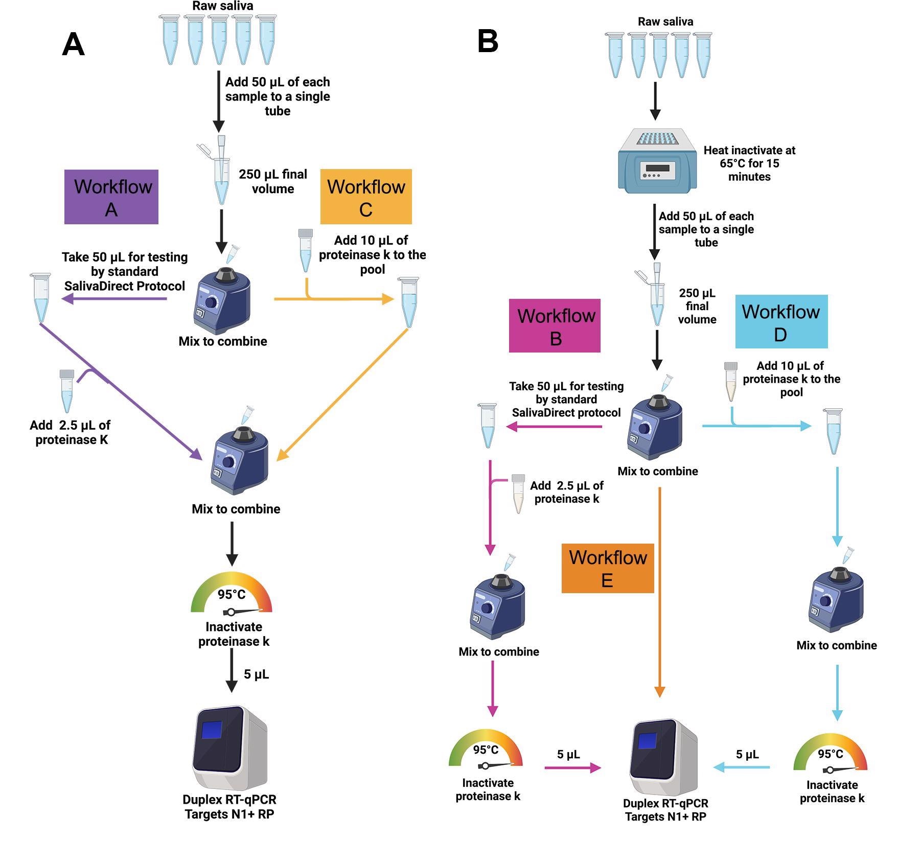 The SalivaDirectTM pooled testing workflows evaluated in the study. (A) For workflows A (purple) and C (gold), 50 μl of SARS-CoV-2-positive saliva and 200 μL total volume of four SARS-CoV-2-negative saliva samples (50 μl each) were pooled and vigorously vortexed to mix. For workflow A, 50 μl of the pooled sample was tested following the standard SalivaDirect protocol. For workflow C the remaining sample was treated with 10 μl of proteinase K then heat inactivated before testing directly without further treatment in the SalivaDirectTM RT-qPCR assay. (B) For workflows B, D and E, individual, non-pooled samples were incubated at 65ºC for 15 minutes before combining 50 μl of each sample into pools of 5 pre-treated samples. For workflow B (pink), 50 μl of the pool of pretreated samples was tested through the standard SalivaDirect protocol. For workflow E (orange), 10 μl of each of these pre-treated pools was removed and tested with the SalivaDirectTM RT-qPCR assay without proteinase K treatment. Finally, for workflow D (blue), 10 μl of proteinase K was added to the remaining volume of the pre297 treated pool then heat inactivated before testing in the SalivaDirectTM RT-qPCR assay.
