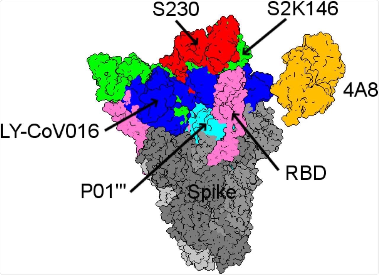 Structural comparison between the five best mAbs with the highest binding affinities from all the antibody landscapes.
