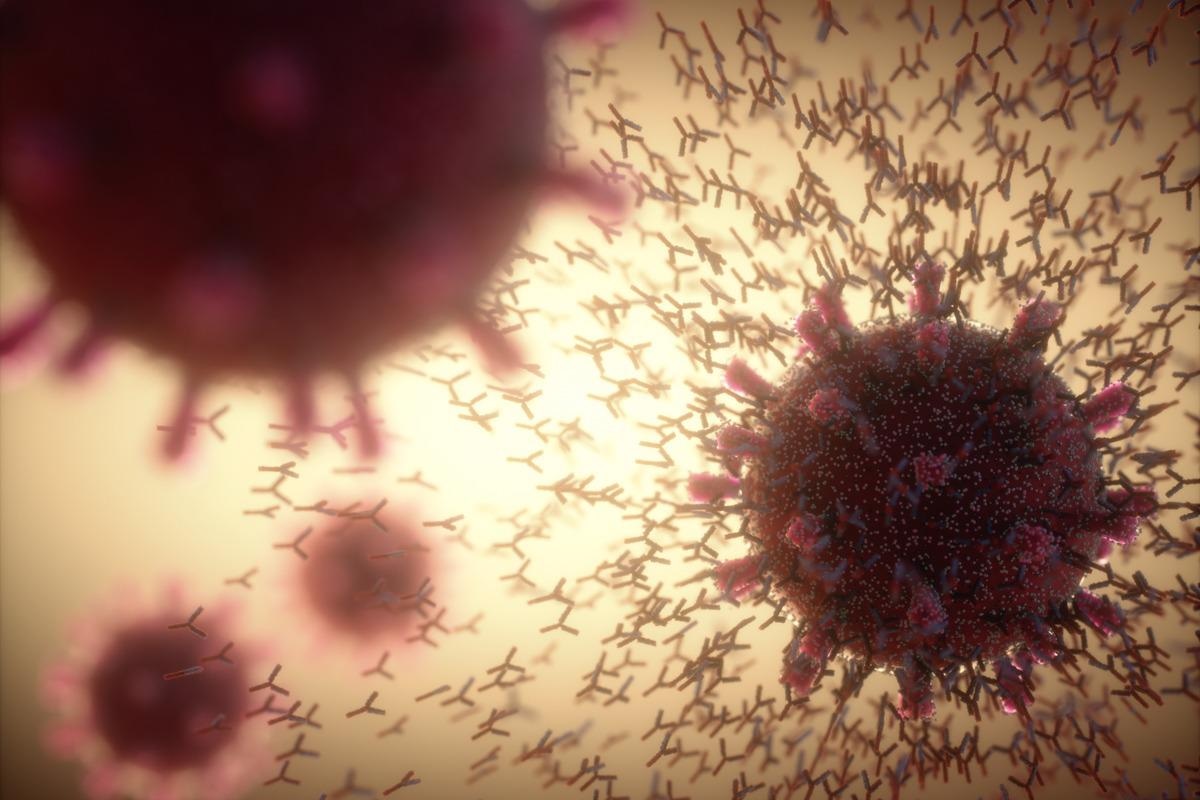 Study: Longitudinal analysis of antibody dynamics in COVID-19 convalescents reveals neutralizing responses up to 16 months after infection. Image Credit: ktsdesign/Shutterstock