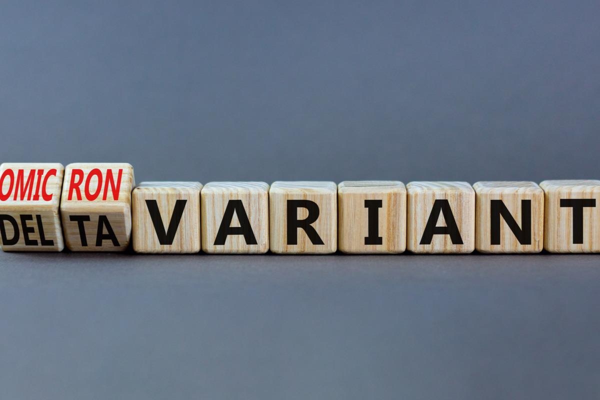 Study: Protection of COVID-19 vaccination and previous infection against Omicron BA.1 and Delta SARS-CoV-2 infections, the Netherlands, 22 November 2021- 19 January 2022. Image Credit: Dmitry Demidovich/Shutterstock