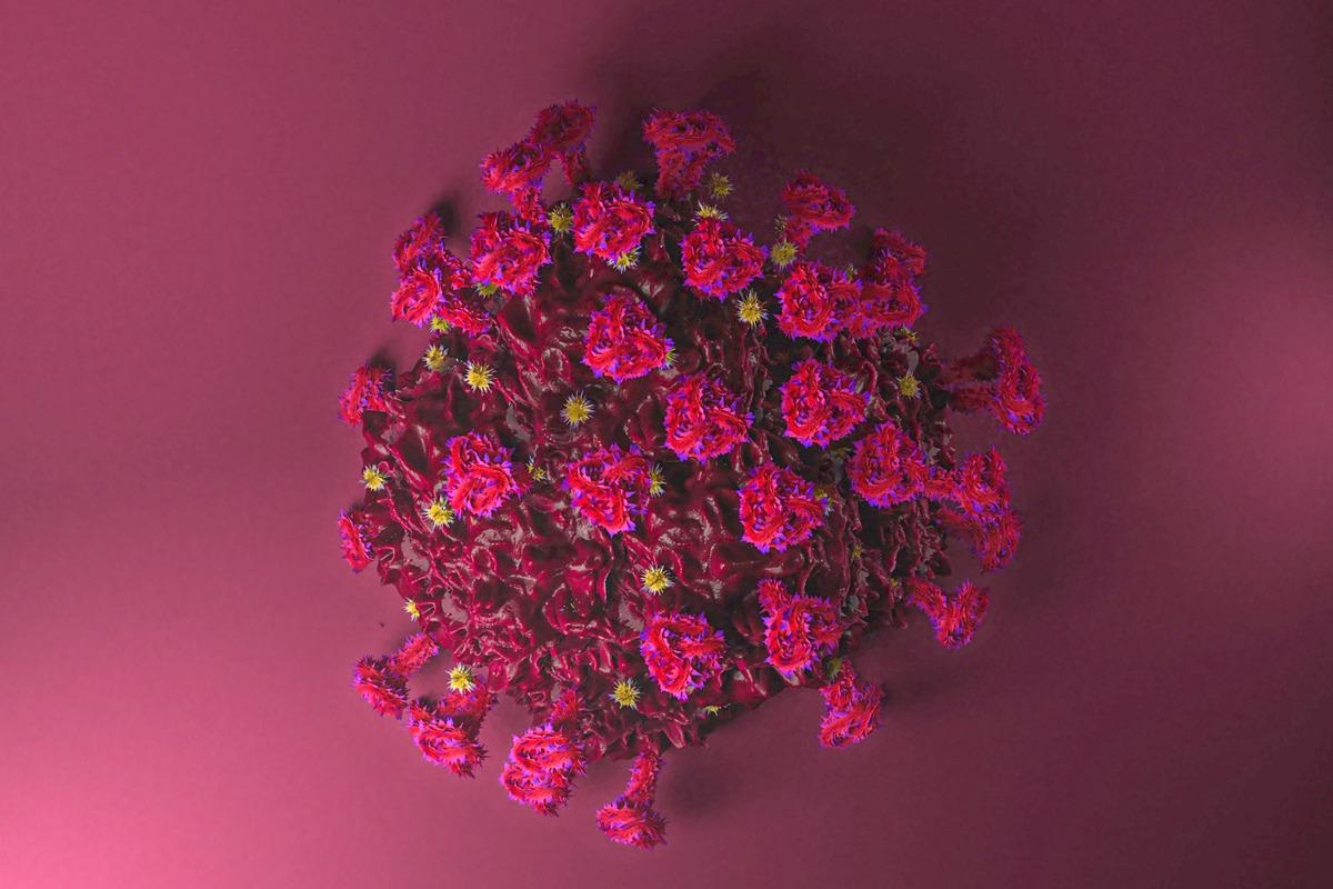 Study: Non-productive exposure of PBMCs to SARS-CoV-2 induces cell-intrinsic innate immunity responses. Image Credit: Matthias Friel/Shutterstock