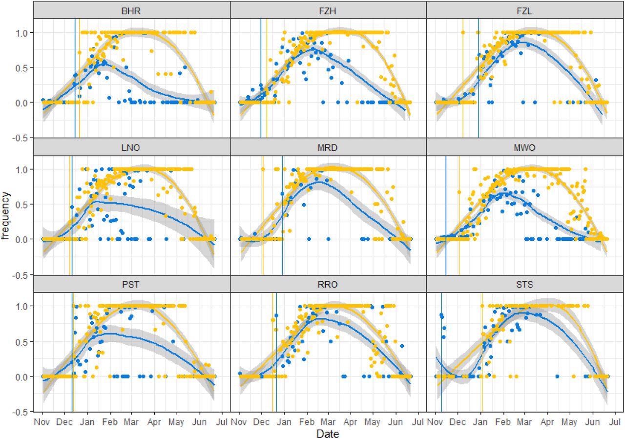 Mean frequency of B.1.1.7 (Alpha) signature SNPs/Indels detected in wastewater versus clinical samples in each catchment, 2nd November 2020 to 26th June 2021. Points show the mean frequency of unique Alpha mutations for a given wastewater sample (blue) and the frequency of Alpha clinical cases from a given date (yellow). Colored lines show the respective local polynomial regression fit including shaded 95% confidence intervals. Vertical lines indicate the first confirmed clinical case of Alpha (yellow) and the first wastewater detection of co-occurring Alpha mutations on amplicon 147 (blue).