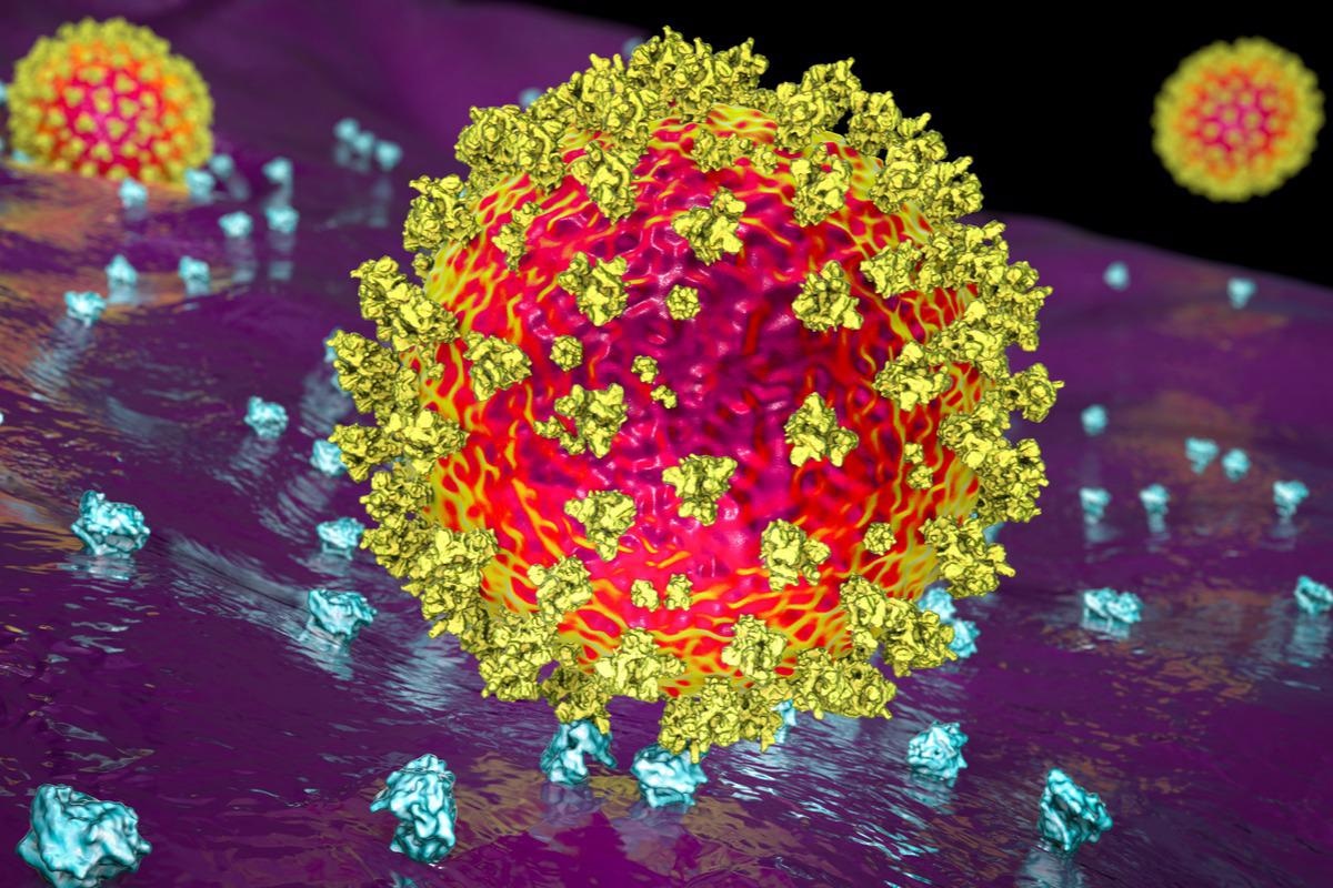 Study: The SARS-CoV-2 host cell membrane fusion protein TMPRSS2 is a tumor suppressor and its downregulation promotes antitumor immunity and immunotherapy response in lung adenocarcinoma. Image Credit: Kateryna Kon/Shutterstock