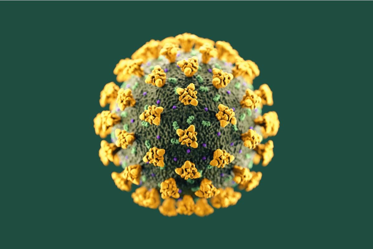 Study: SARS-CoV-2 peptide vaccine elicits T-cell responses in mice but does not protect against infection or disease. Image Credit: neative/Shutterstock