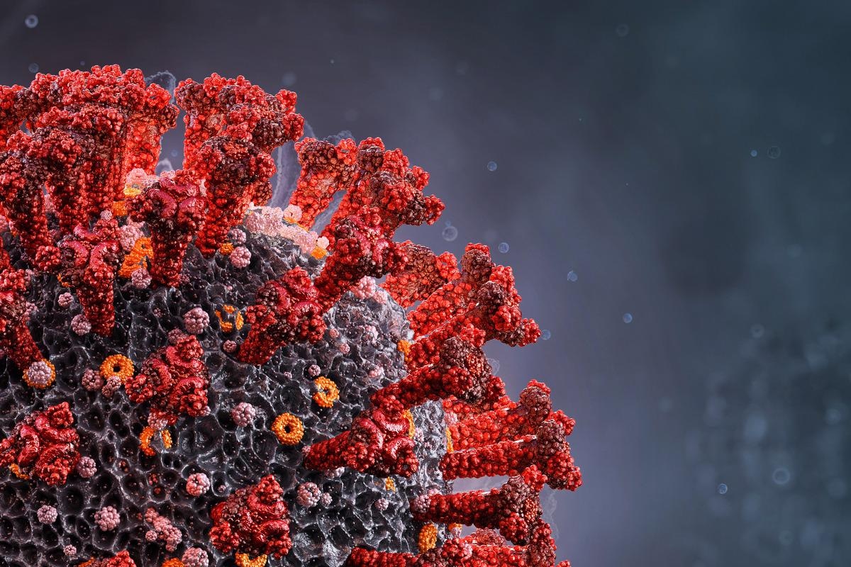 Study: Molnupiravir (MK-4482) is efficacious against Omicron and other SARS-CoV-2 variants in the Syrian hamster COVID-19 model. Image Credit: Corona Borealis Studio/Shutterstock