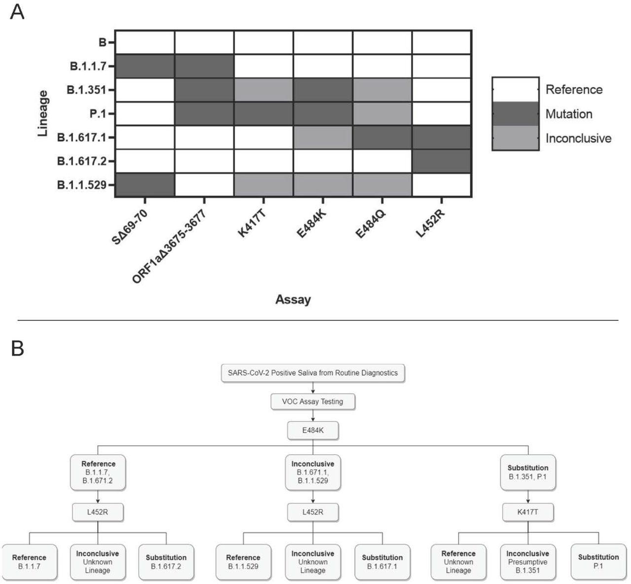 Application and interpretation of differential VOC assays. 3A. VOC strain typing by mutation site. Each strain will produce a different combination of results from the six assays. Strains with an alternate allele at the mutation site will produce inconclusive results. 3B. Example strain typing workflow using minimal steps. Saliva samples that are determined positive by routine diagnostic testing are analyzed by various assays that produce differential results for each VOC.