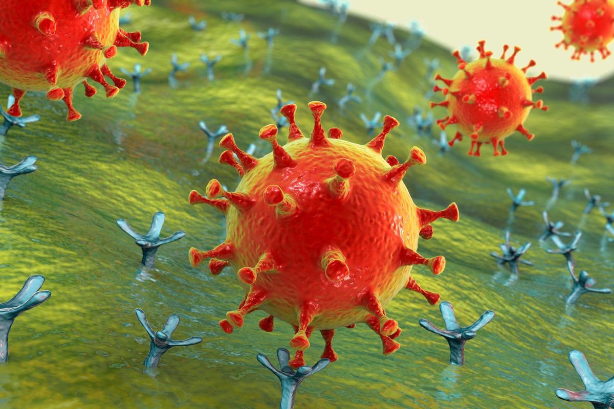 Study: Limited extent and consequences of pancreatic SARS-CoV-2 infection. Image Credit: Kateryna Kon/Shutterstock