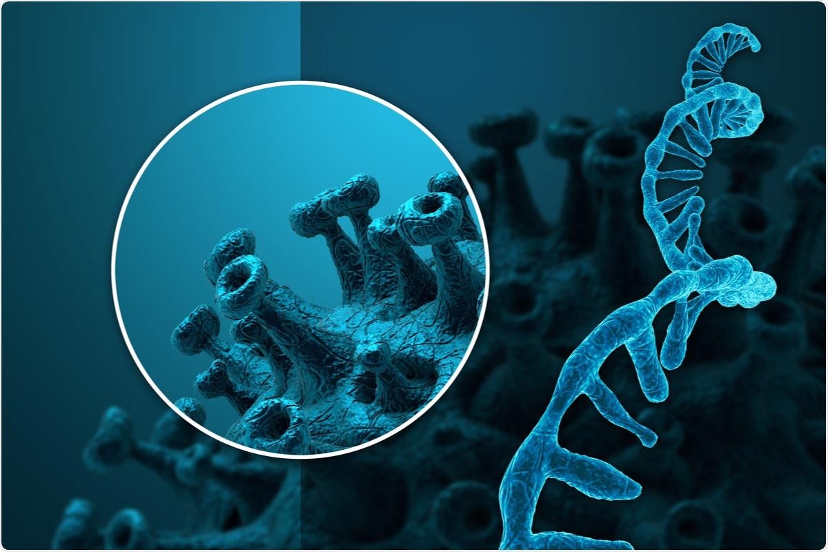 Study: Tracking SARS-CoV-2 Omicron diverse spike gene mutations identifies multiple inter-variant recombination events. Image Credit: CROCOTHERY / Shutterstock.com