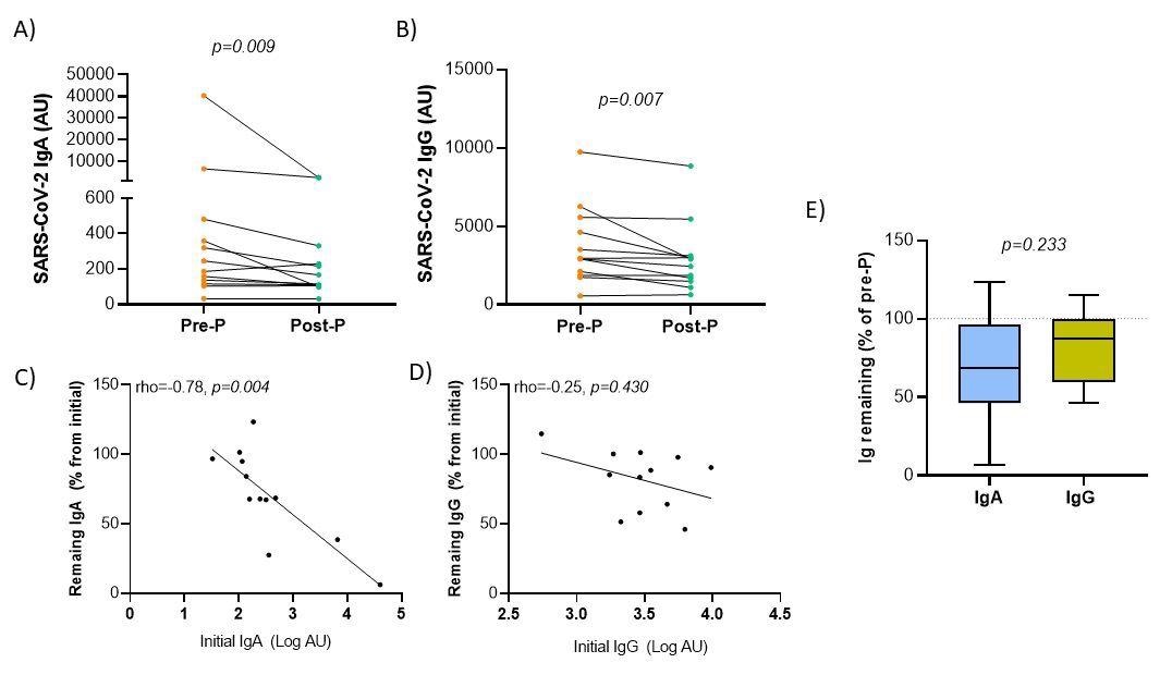 Variation of anti-SARS-CoV-2 antibody levels in breast milk after Holder pasteurization. Panels A-B. Comparison of immunoglobulin A (A) and G (B) antibody levels before (Pre-P) and after (Post-P) pasteurization. Panel C-D. Spearman’s rank correlation between the initial levels of Ig in log-transformed arbitrary units (AU) and the percentage of remaining Ig respecting the initial. Panel E. Comparison between the remaining immunoglobulin percentages after the pasteurization process according to immunoglobulin isotype. Wilcoxon matched-pairs signed-rank test was used to determine the significance of the difference between both isotypes.