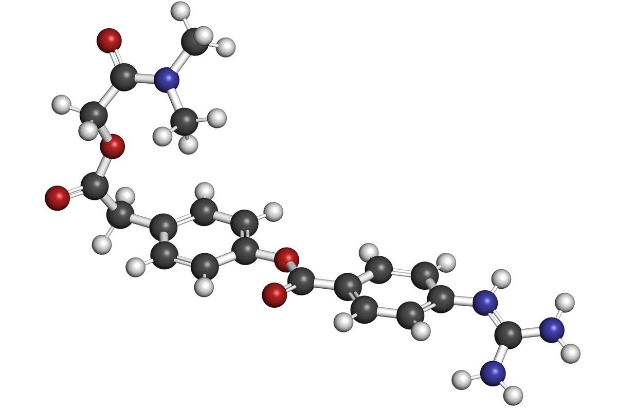 Study: A TMPRSS2 inhibitor acts as a pan-SARS-CoV-2 prophylactic and therapeutic. Image Credit: Wirestock Creators/Shutterstock