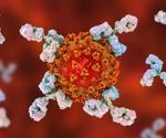 Study shows SARS-CoV-2 antibodies persist for one-year post-infection with protection from other variants
