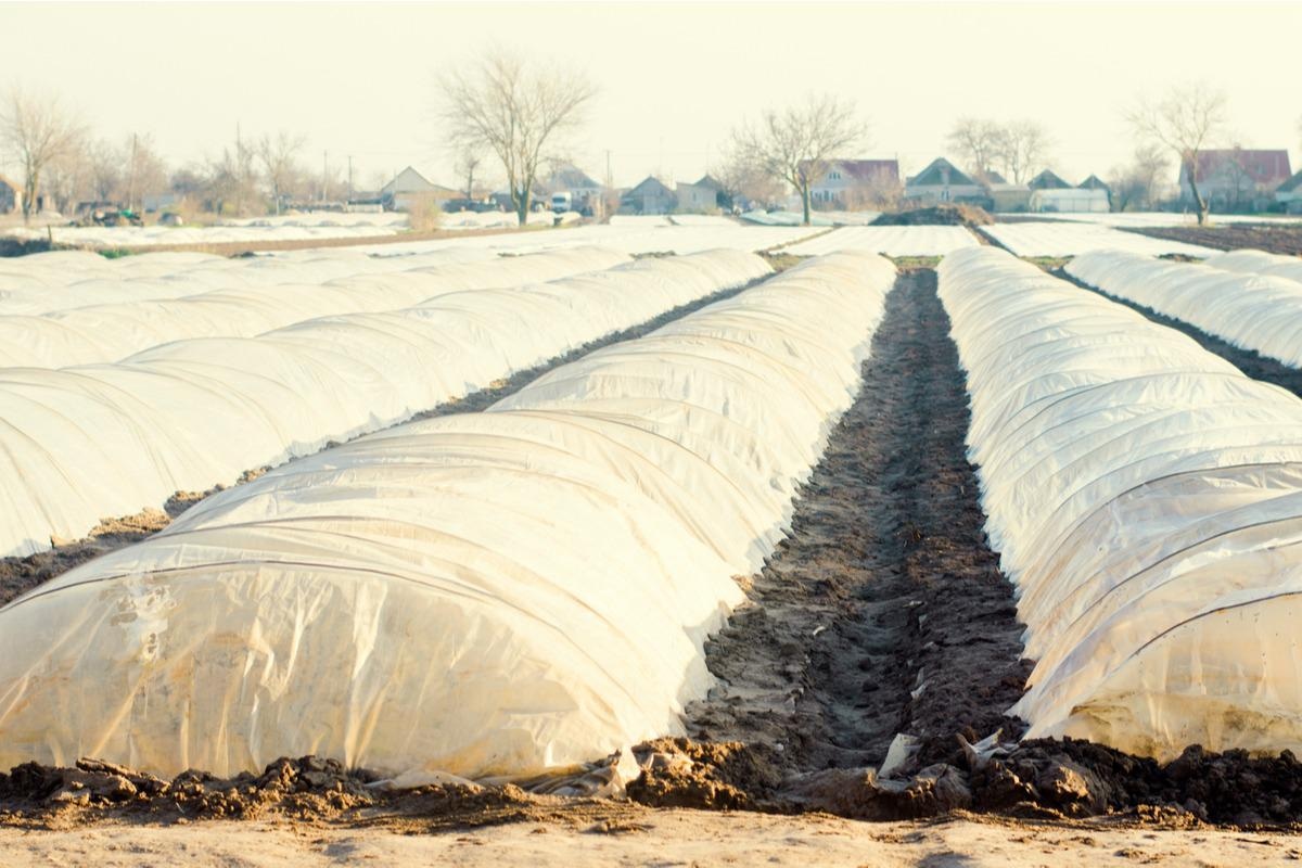 Study: Growing Health - Why Agriculture is Vital to the Health of People and the Planet. Image Credit: Andrii Yalanskyi/Shutterstock
