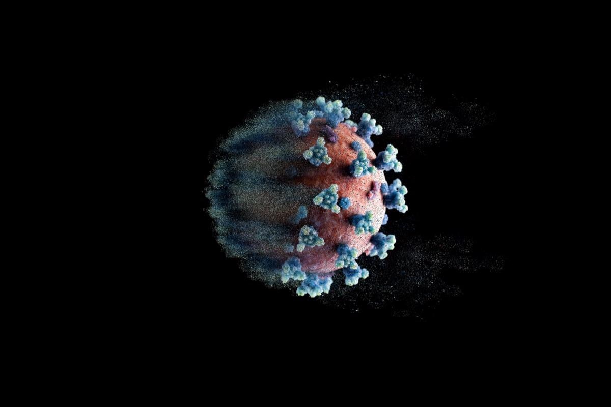 Study: SARS-CoV-2 accessory protein ORF8 decreases antibody-dependent cellular cytotoxicity. Image Credit: Freer / Shutterstock.com