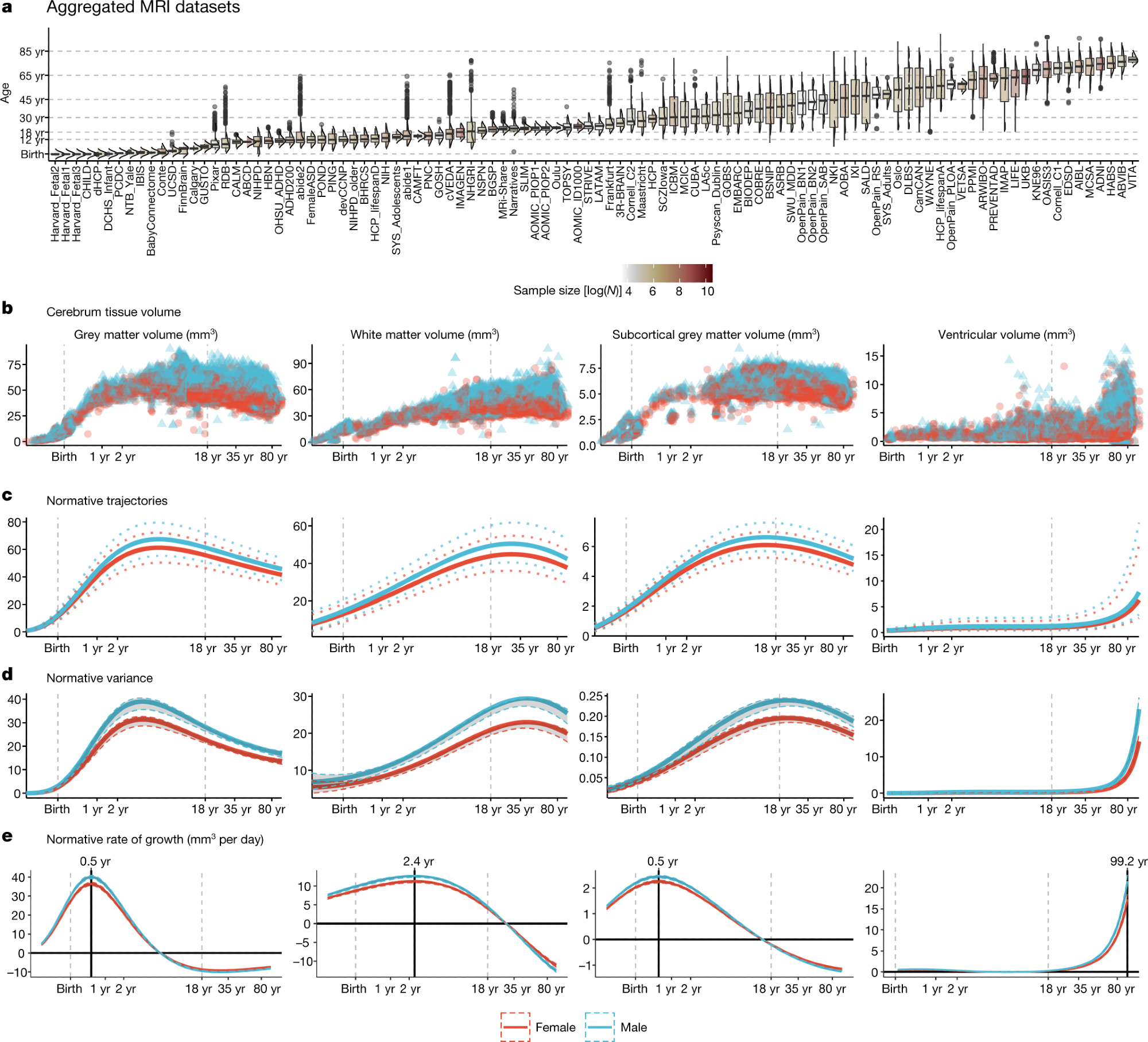 a, MRI data were aggregated from over 100 primary studies comprising 123,984 scans that collectively spanned the age range from mid-gestation to 100 postnatal years. Box–violin plots show the age distribution for each study coloured by its relative sample size (log-scaled using the natural logarithm for visualization purposes). b, Non-centiled, ‘raw’ bilateral cerebrum tissue volumes for grey matter, white matter, subcortical grey matter and ventricles are plotted for each cross-sectional control scan as a function of age (log-scaled); points are colored by sex. c, Normative brain-volume trajectories were estimated using GAMLSS, accounting for site- and study-specific batch effects, and stratified by sex (female, red; male, blue). All four cerebrum tissue volumes demonstrated distinct, non-linear trajectories of their medians (with 2.5% and 97.5% centiles denoted as dotted lines) as a function of age over the lifespan. d, Trajectories of median between-subject variability and 95% confidence intervals for four cerebrum tissue volumes were estimated by sex-stratified bootstrapping (see Supplementary Information 3 for details). e, Rates of volumetric change across the lifespan for each tissue volume, stratified by sex, were estimated by the first derivatives of the median volumetric trajectories. For solid (parenchymal) tissue volumes, the horizontal line (y = 0) indicates when the volume at which each tissue stops growing and starts shrinking and the solid vertical line indicates the age of maximum growth of each tissue. . Note that y axes in b–e are scaled in units of 10,000 mm3 (10 ml).