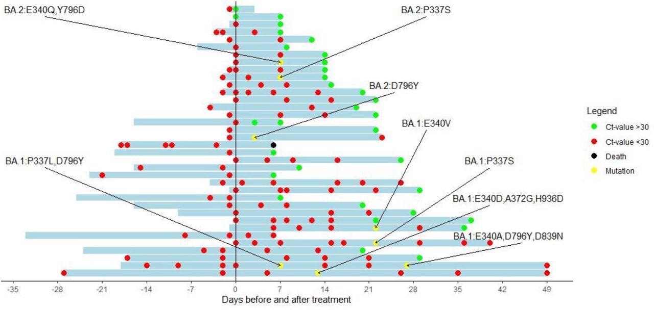 Cyclic threshold value of patients treated with sotrovimab with a baseline RT-PCR and at least one follow-up RT-PCR available. The y-axis indicates the day of sotrovimab infusion. Red dots represent a Ct-value <30. Green dots represent a Ct-value of >30. Black dots represent the death of a patient. Yellow dots represent a sequence showing new Spike mutations compared with the baseline sequence.
