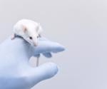 Researchers use mouse model to explore correlation of impaired interferon-mediated immune response with severe COVID-19