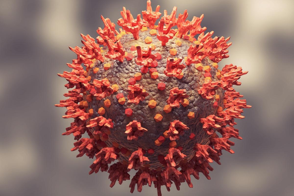 Study: mRNA booster vaccination protects extremely aged mice against the SARS-CoV-2 Omicron variant. Image Credit: Adao/Shutterstock