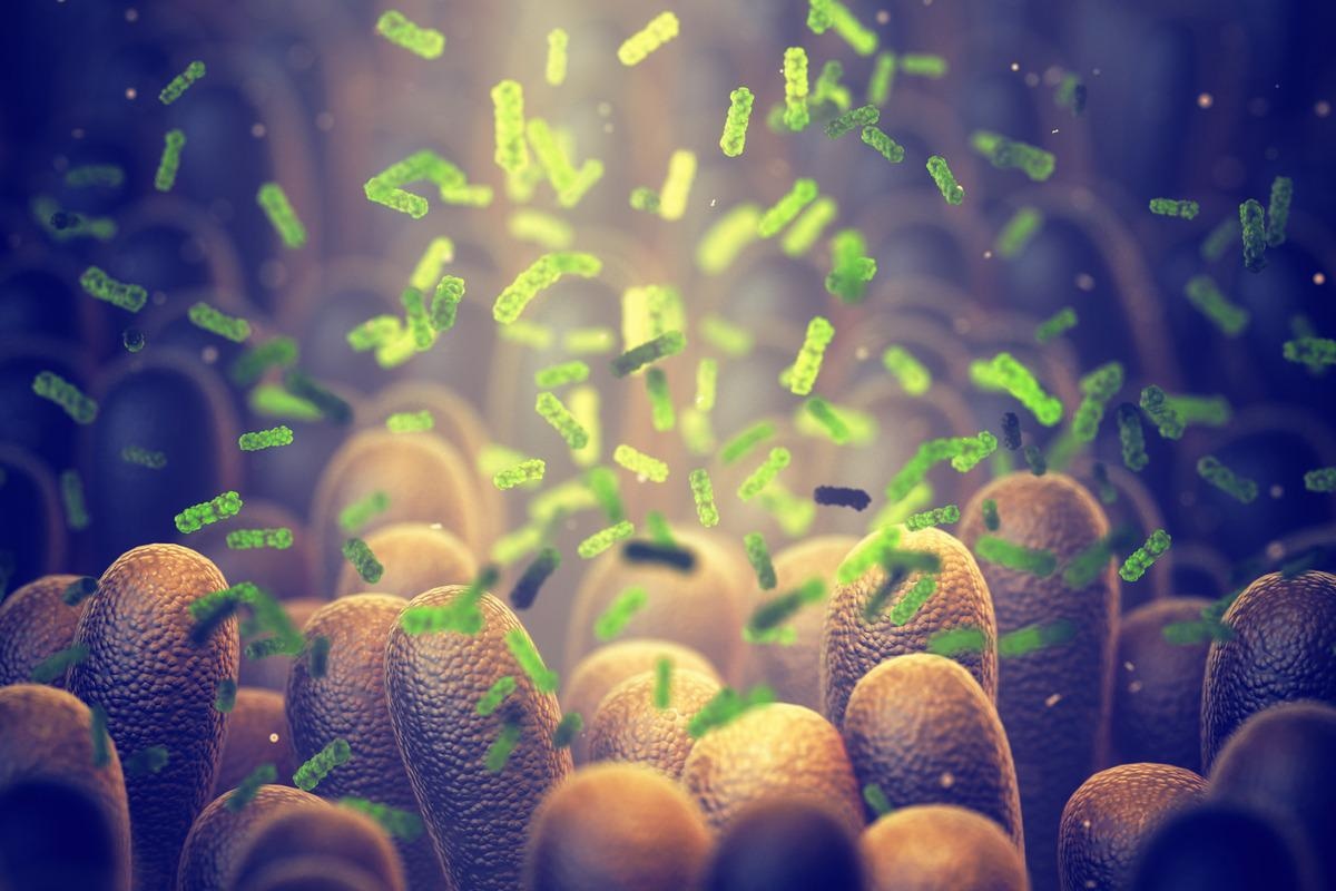 Study: Heterogeneity in statin responses explained by variation in the human gut microbiome. Image Credit: nobeastsofierce/Shutterstock