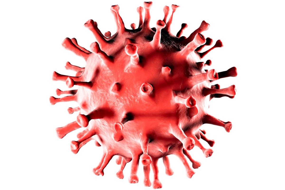 Study: Structural dynamics of SARS-CoV-2 nucleocapsid protein induced by RNA binding. Image Credit: Naeblys / Shutterstock.com