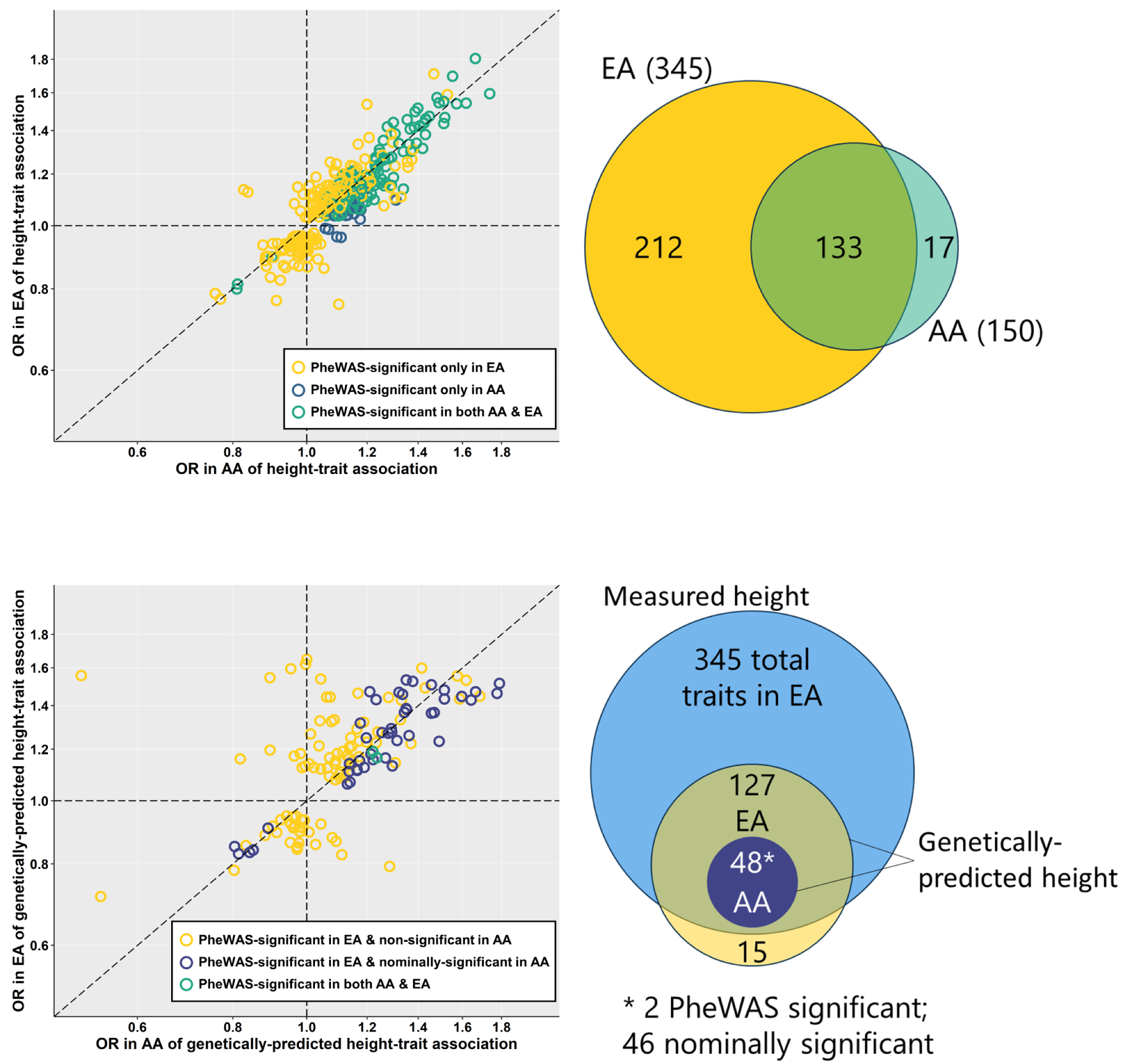 Comparison of number of associations and effect sizes of measured height (A) and genetically-predicted height (B) between non-Hispanic White and non-Hispanic Black individuals. Associations of measured and genetically-predicted height with phecodes represented as odds ratios (OR) in non-Hispanic Black (AA) and non-Hispanic White (EA) MVP participants. Whether associations exceeded phenome-wide significance threshold in either or both race/ethnicity groups indicated by color. Venn diagrams providing pictorial representation of the same comparisons shown to the right of each plot. https://doi.org/10.1371/journal.pgen.1010193.g001