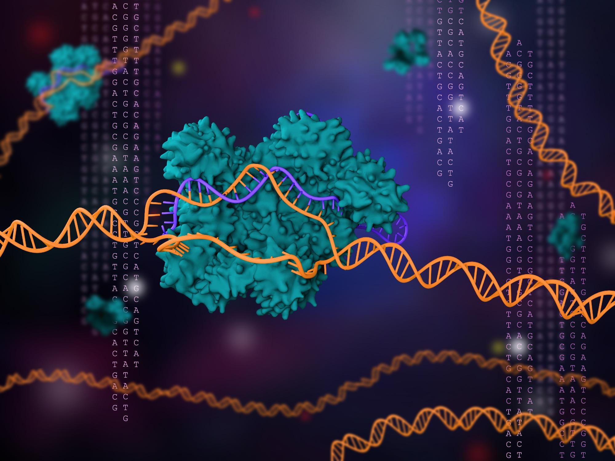 Study: CRISPR-based point-of-care diagnostics incorporating Cas9, Cas12, and Cas13 enzymes advanced for SARS-CoV-2 detection. Image Credit: Meletios Verras / Shutterstock