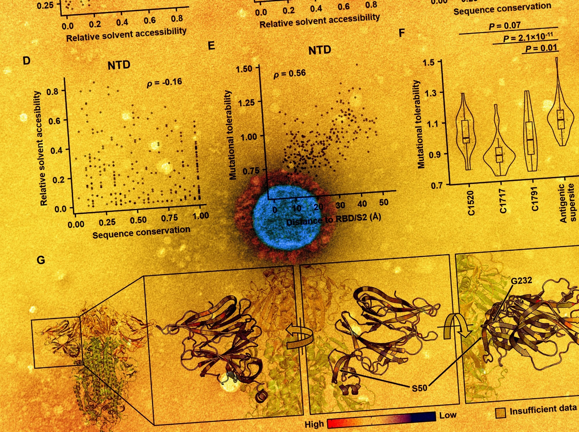 Study: Probing the biophysical constraints of SARS-CoV-2 spike N-terminal domain using deep mutational scanning. Image Credit: NIAID
