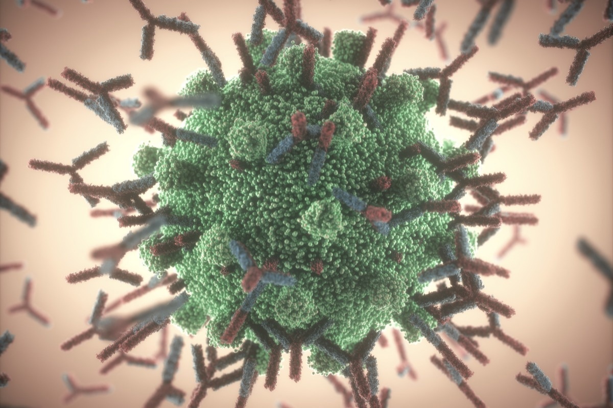 Study: SARS-CoV-2 breakthrough infections induce somatically hypermutated broadly neutralizing antibodies against heterologous variants. Image Credit: ktsdesign/Shutterstock